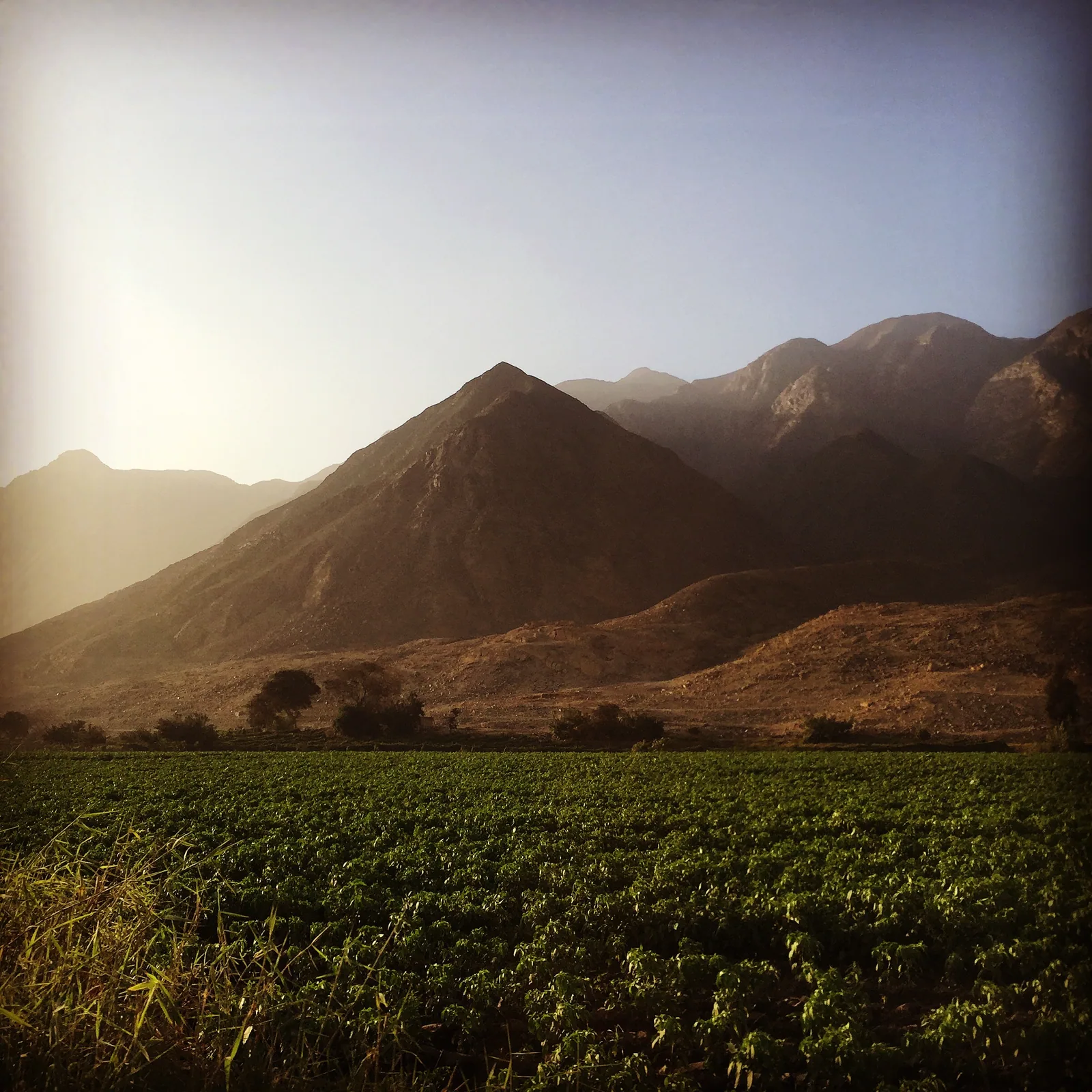 Paisaje andino de montañas y cultivos